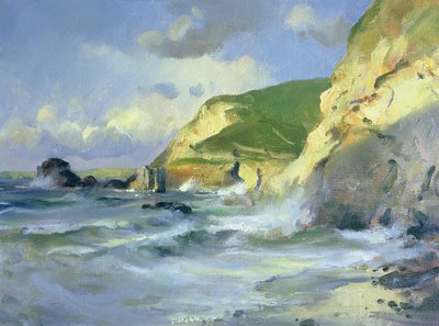 Klippen bei St. Agnes von Trevor Chamberlain